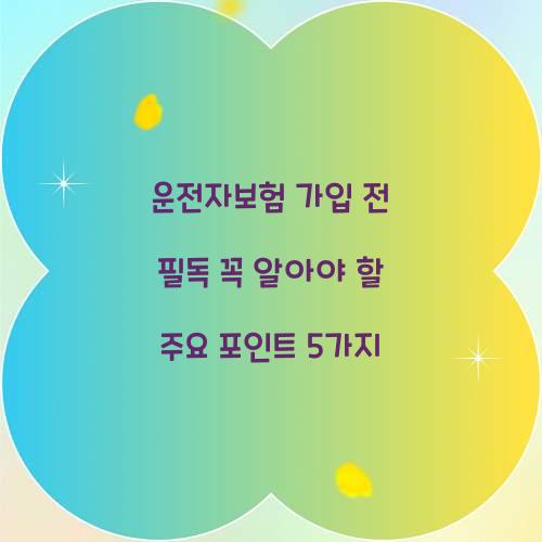 운전자보험 가입 전 필독