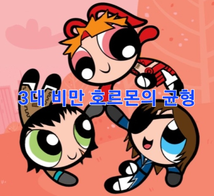 시서스 다이어트