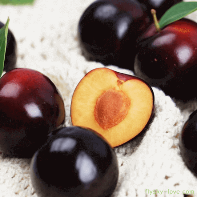 바이오체리(Bio Cherry) 효능