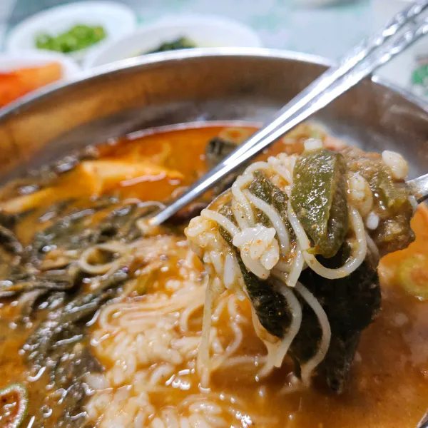 생생정보 우와한 식당 가물치오골계탕 음식점