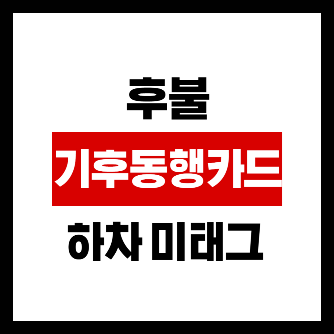 후불기후동행카드 하차 미태그, 카드 안 찍었을 때