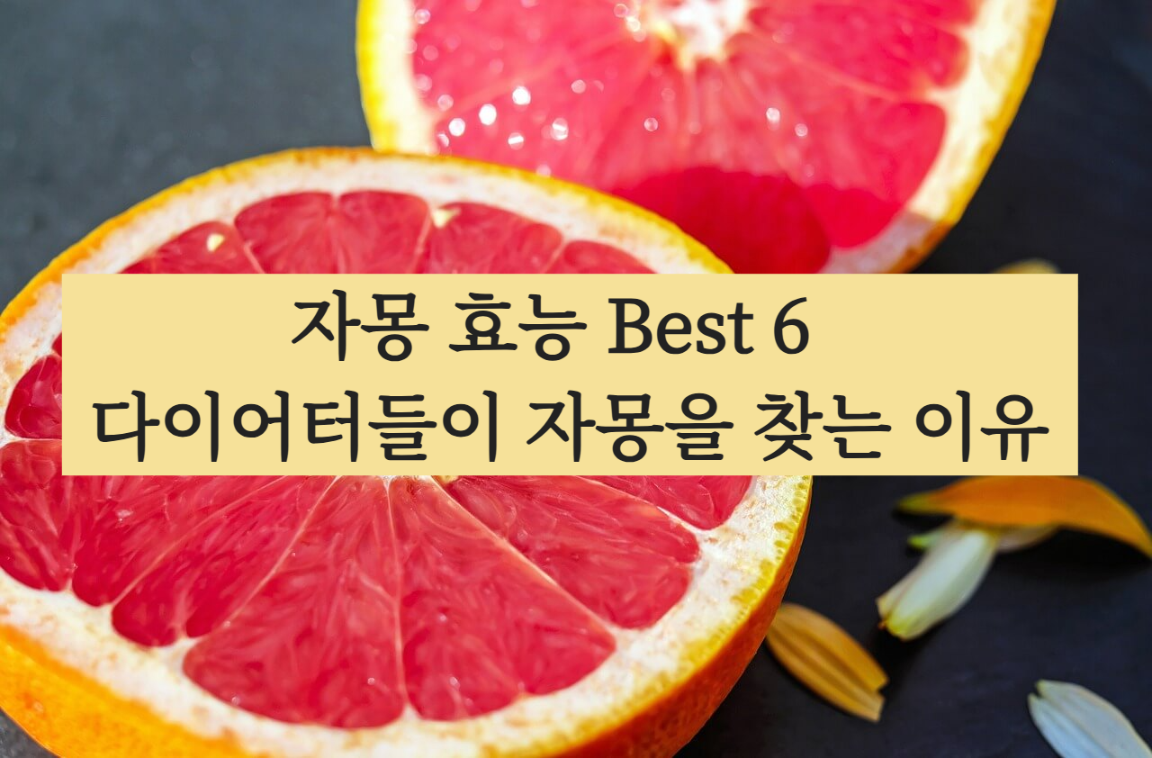 자몽 효능