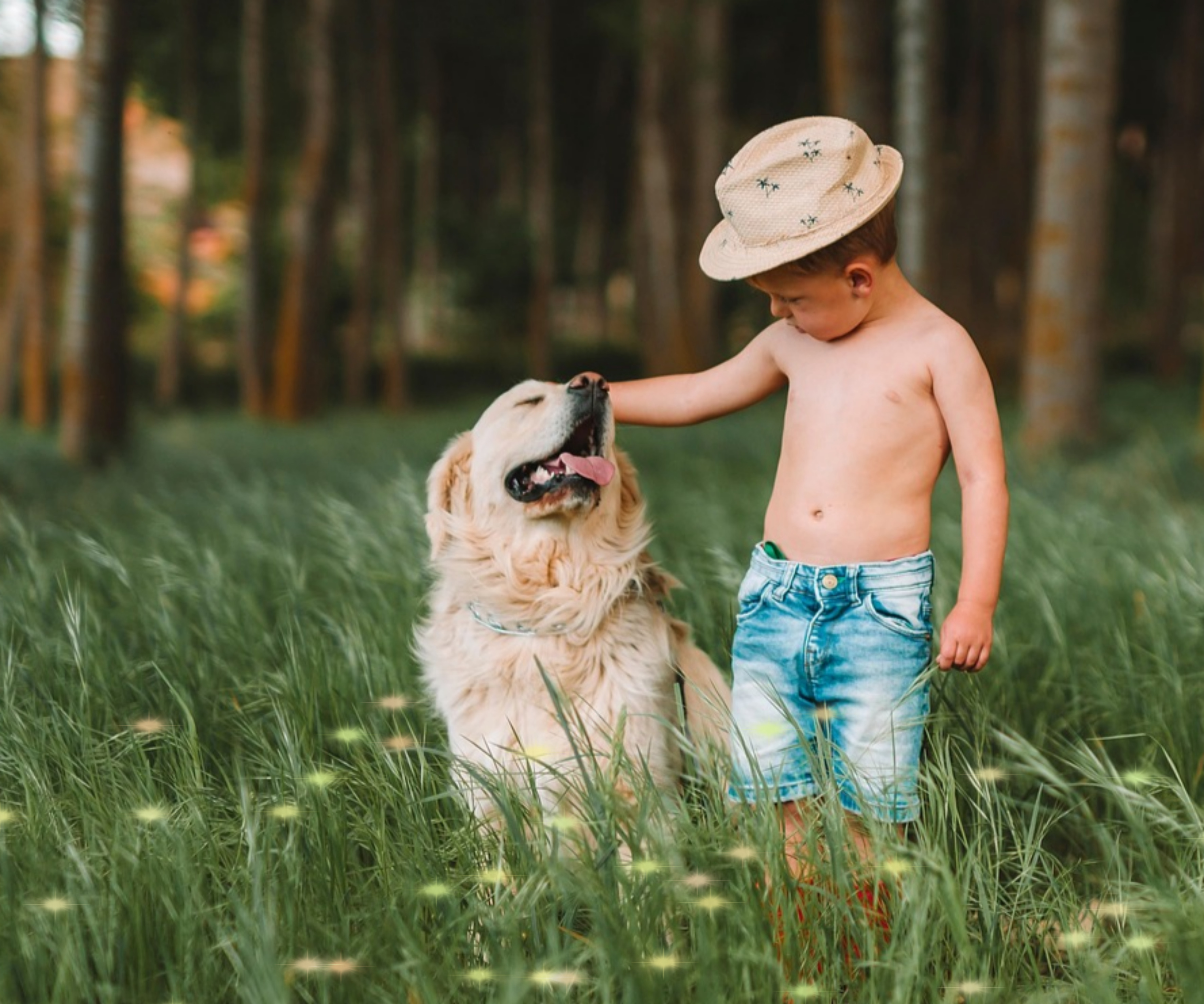 펫 테라피 들어보셨나요? 반려동물이 정신건강에 미치는 영향