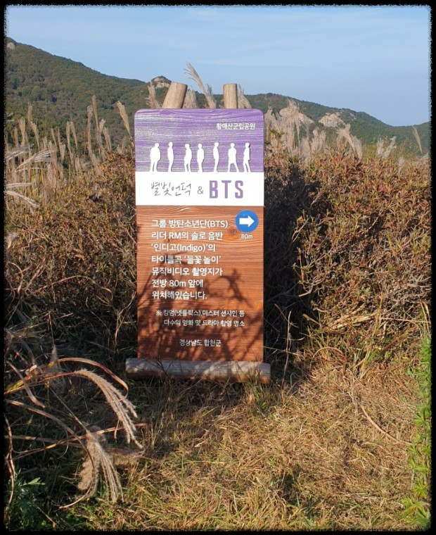 황매산 억새축제&amp;#44; 놓치면 후회할 필수 정보!