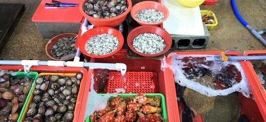 홍성 남당항 새조개 축제