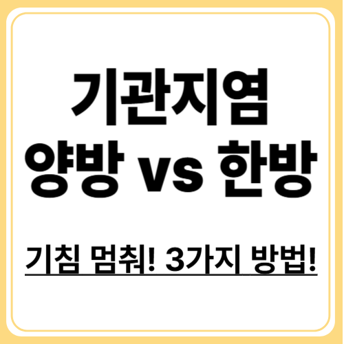 만성기관지염 치료법 완전 정복! 병원·한방·자가관리별 비교