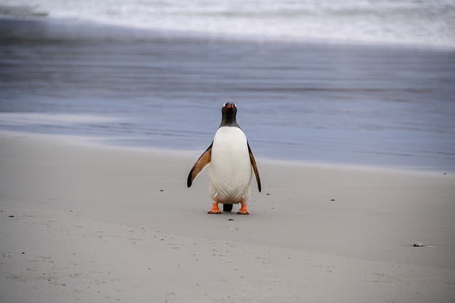 남극 대륙의 대기 현상: 기후 모델링과 예측