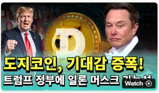 도지코인-시세-전망