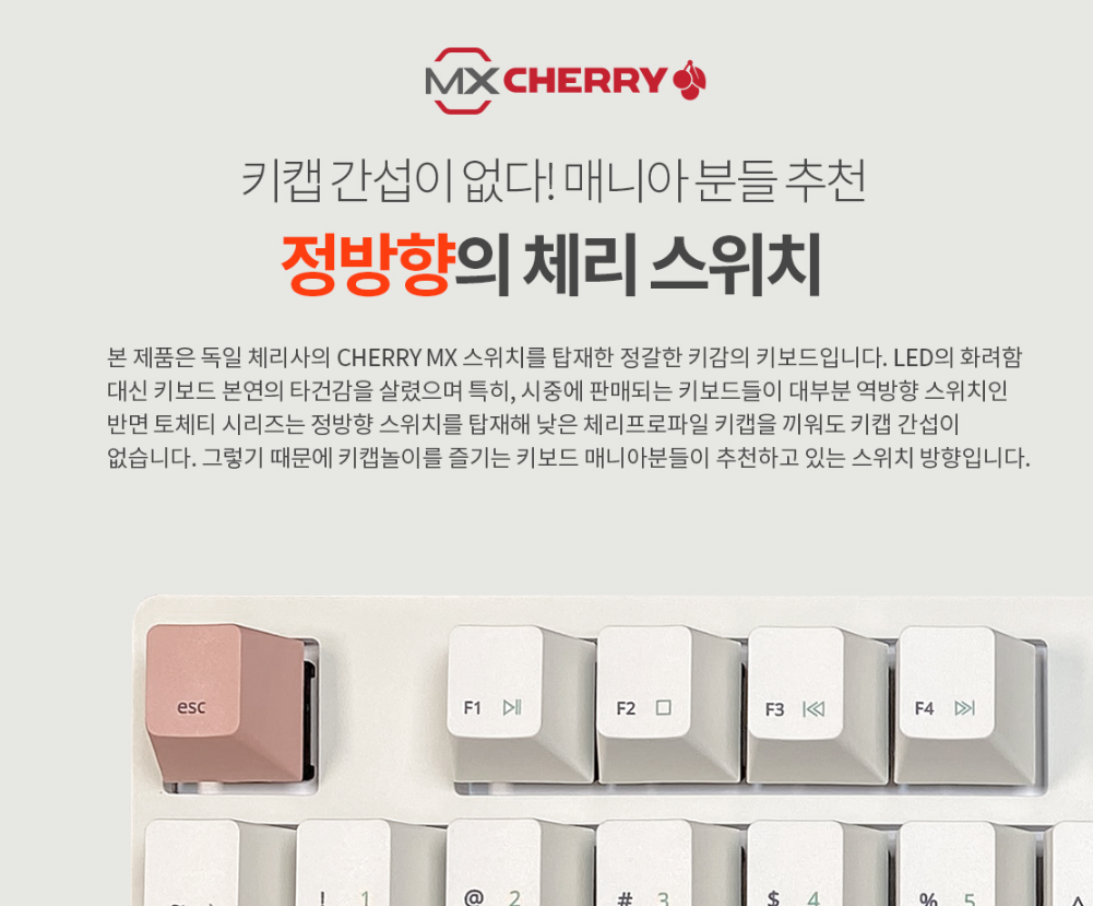 정방향의 체리 스위치