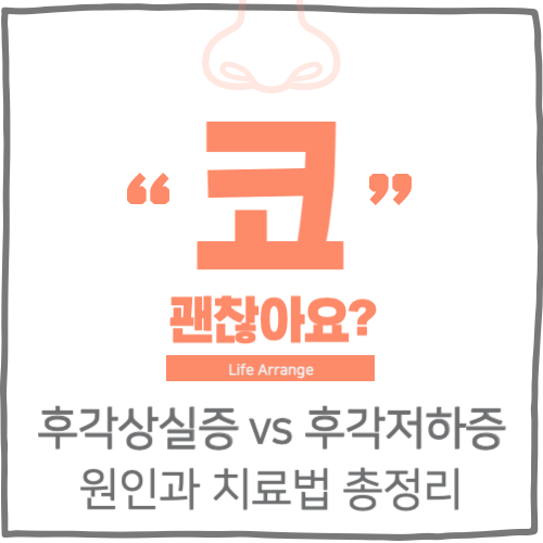 후각상실증 vs 후각저하증 원인과 치료법