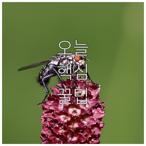 이사철 필수! 중구 대형폐기물, 인터..
