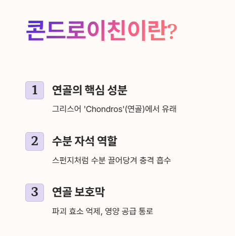 콘드로이친이란?