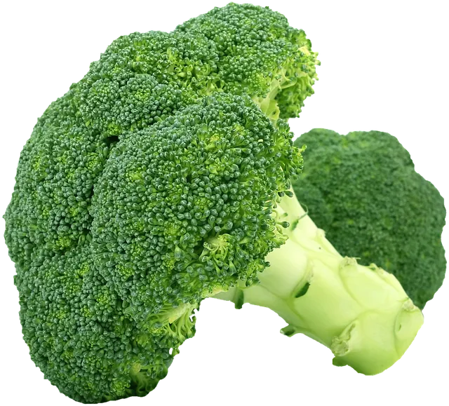 브로콜리 반찬 요리 밑반찬 레시피_4