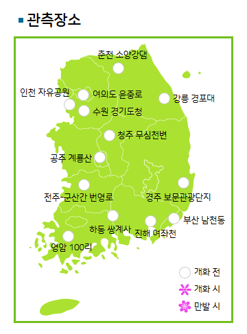 2025년 벚꽃 개화 시기, 기상청과 웨더아이에서 쉽게 확인하는 방법 🌸