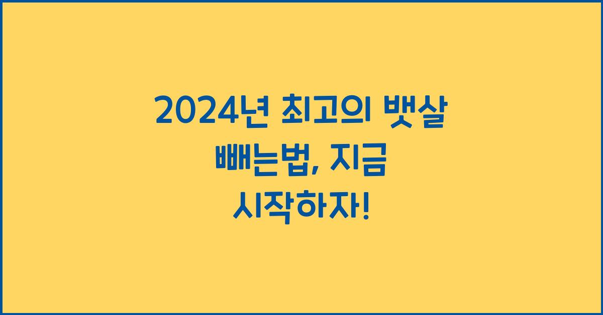 뱃살 빼는법
