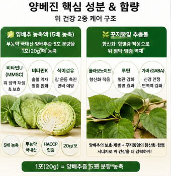 양베진-효능-내돈내산-성분-함량-가격-섭취방법