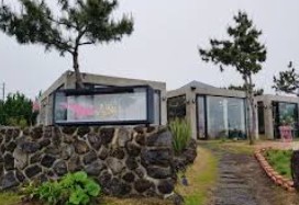 제주 2박 3일 핫플레이스