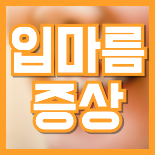 입마름 증상 원인 구강건조증 요즘 들어 입이 마른다면!?