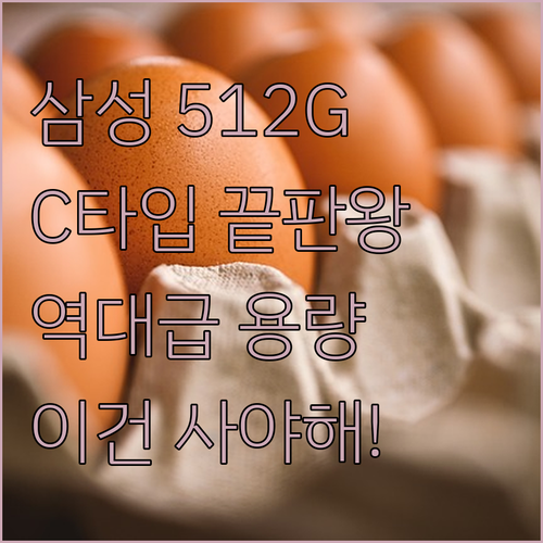 삼성전자 C타입 USB 512GB 대..