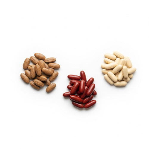 수험생 영양제 성분