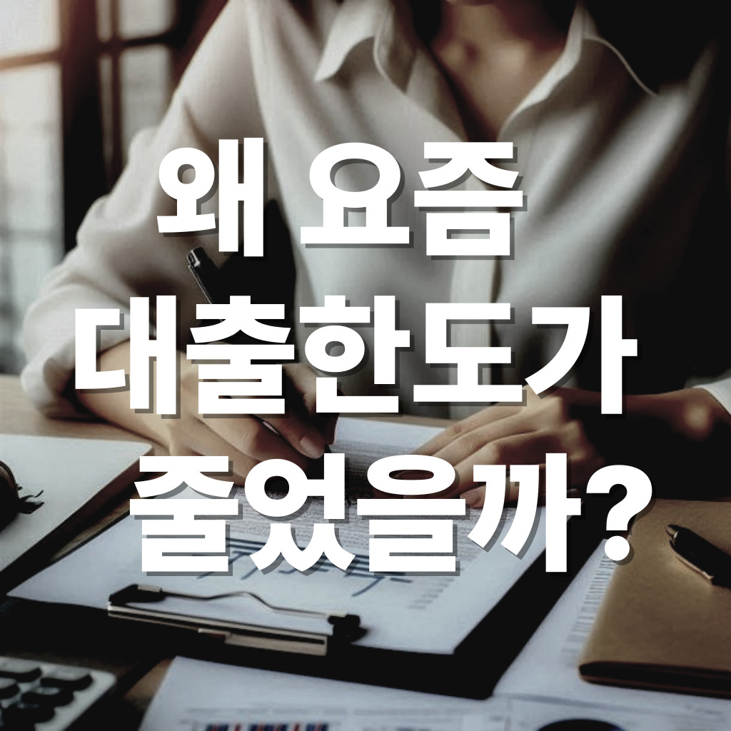 대출 한도 줄었을 때 대처 방법 안내 이미지