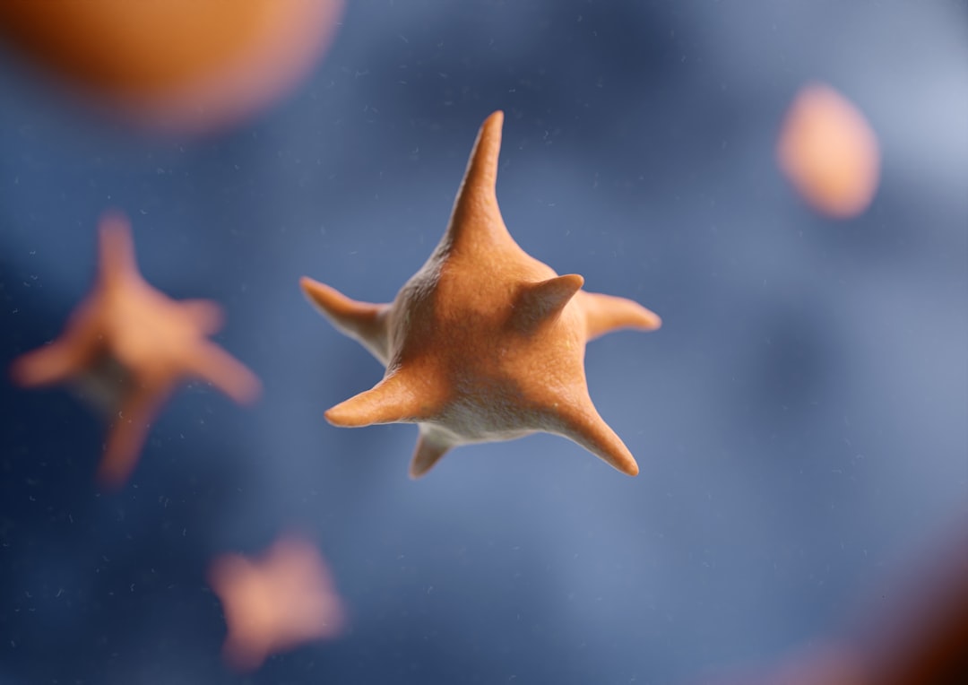 Platelet