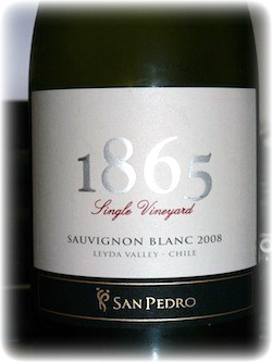산 페드로 1865 소비뇽 블랑