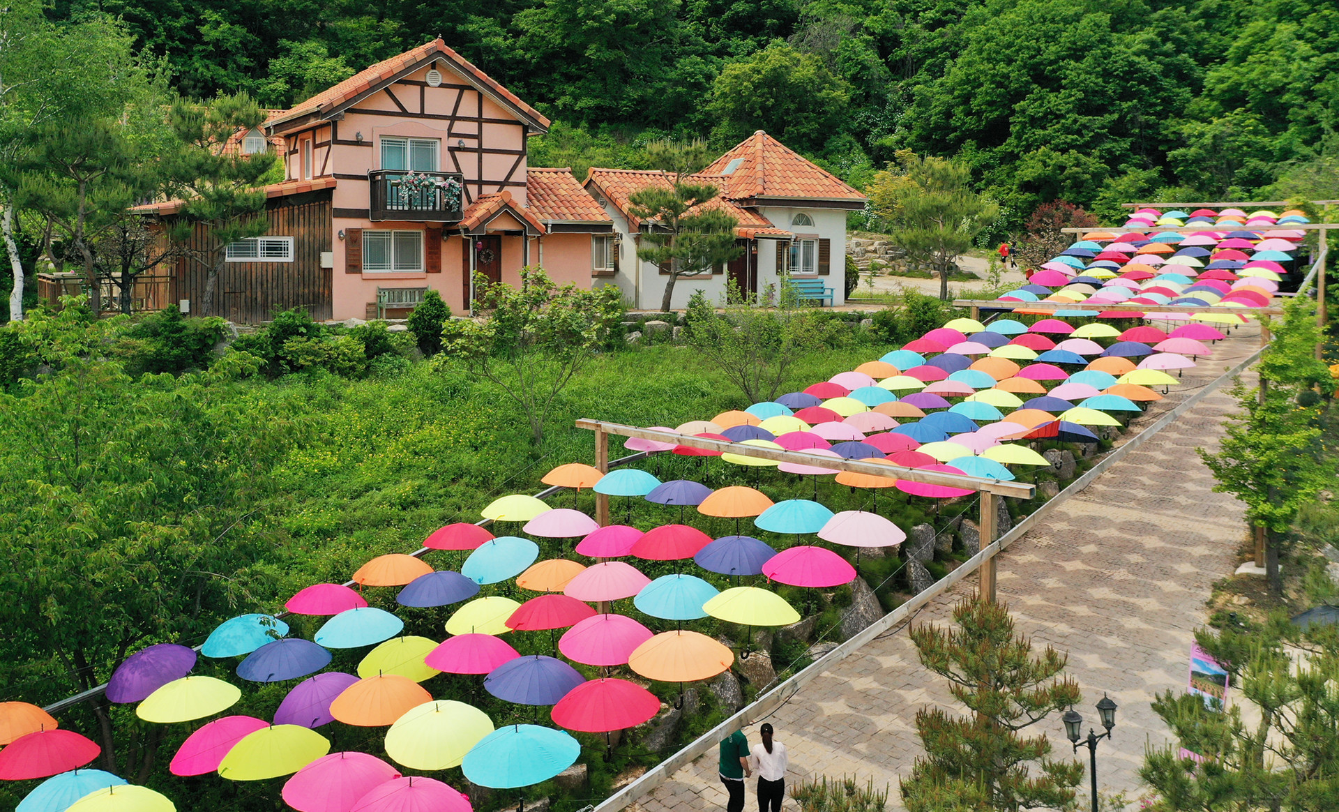 허브아일랜드 허브 우산길