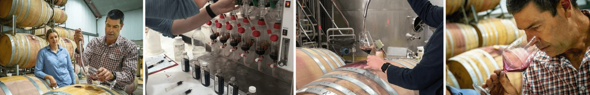 블라인드 테스팅