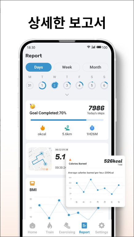 만보기, 스텝 카운터 및 BMI,걷기의 즐거움과 건강 관리, 칼로리와 BMI(체질량지수) 계산