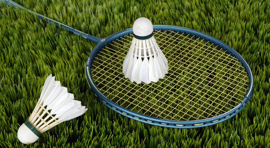 매드민턴 채, 셔틀 콕의 모습