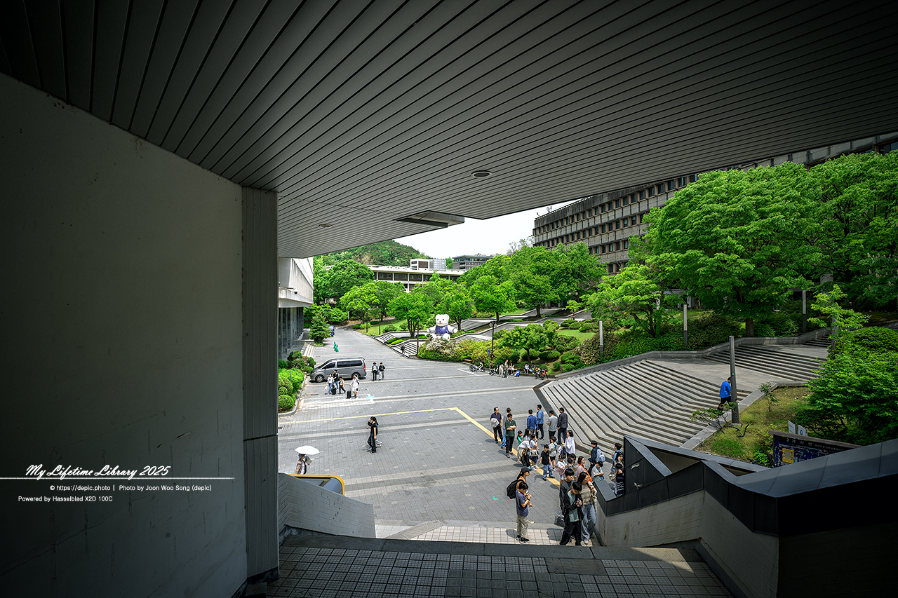 #봄 #캠퍼스 #대학교 #서울대 #서울 #오후 #서울대학교