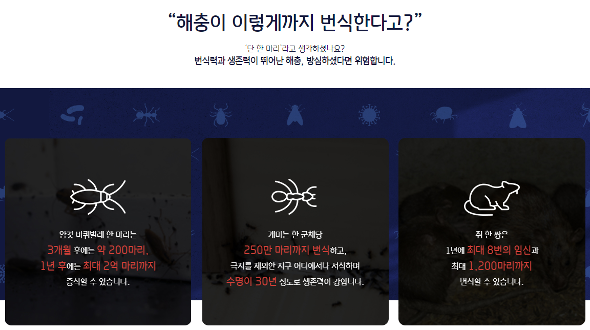 쥐 방역업체 비용 후기