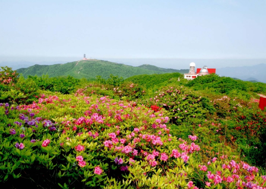 단양 소백산 철쭉축제