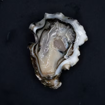 굴 효능 부작용 칼로리