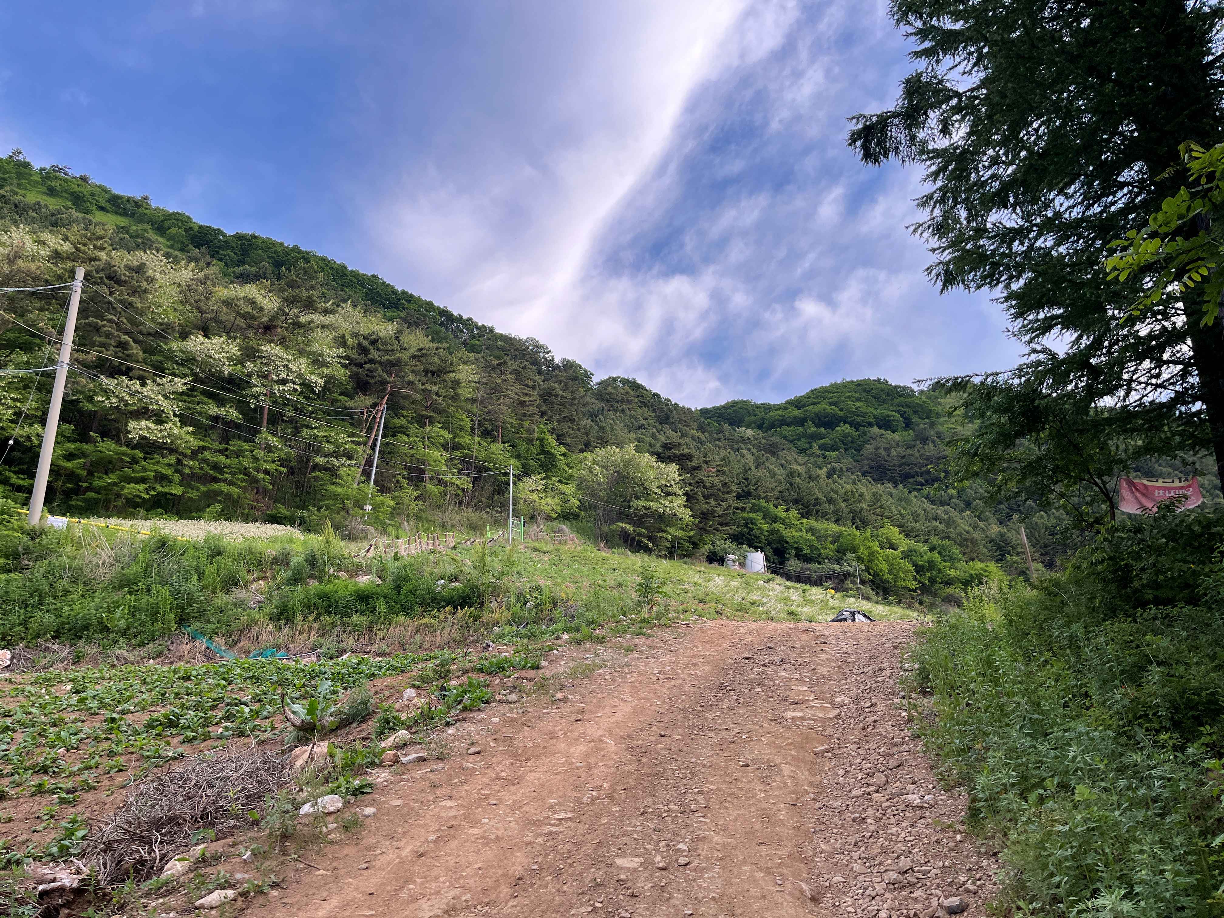 민둥산