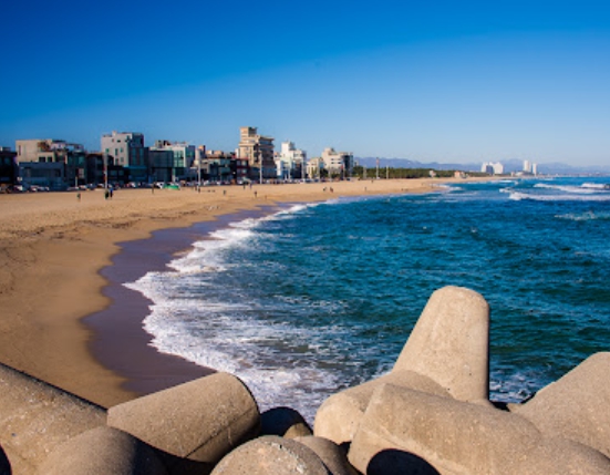 감성 커플 여행지: 강릉 안목해변