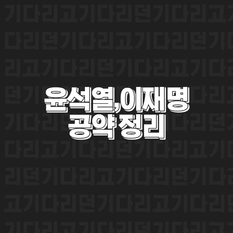 공약