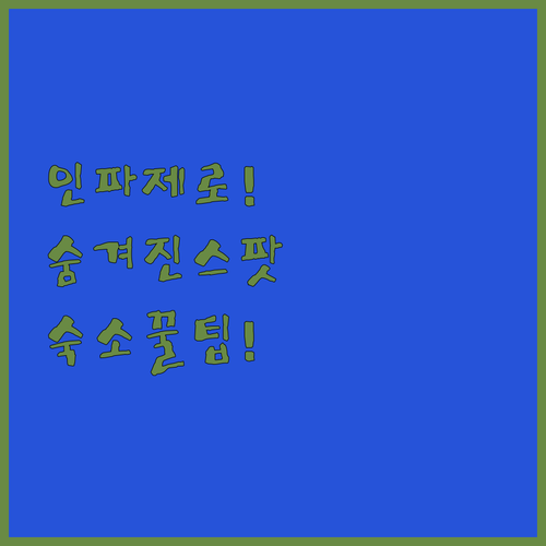 인파 없는 교토 기요미즈데라 인생샷 ..