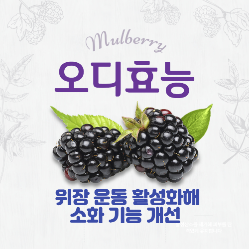 알트태그-오디 효능 포스팅의 썸네일