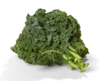 글루타치온이 많이 들어있는 음식 BEST 10