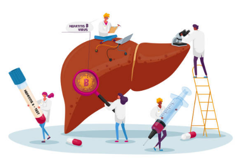 간수치가 높으면 나타나는 증상&amp;#44; 올라가는 이유&amp;#44; 간수치 정상범위 총정리 (2024ver)