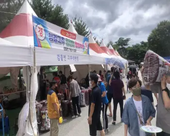 괴산 고추축제_9