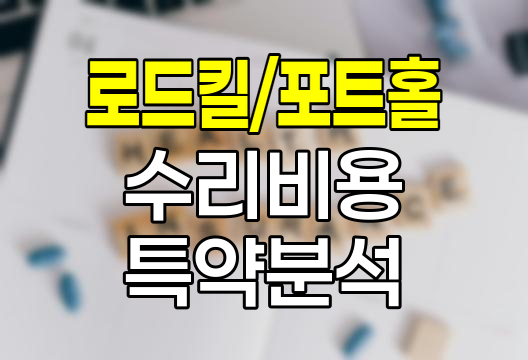 삼성화재 운전자 로드킬, 포트홀 수리비용 특약 심층 분석