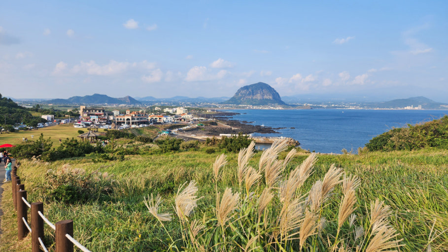 제주 서부 단풍여행 코스 추천