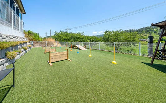 카카오 스파펜션