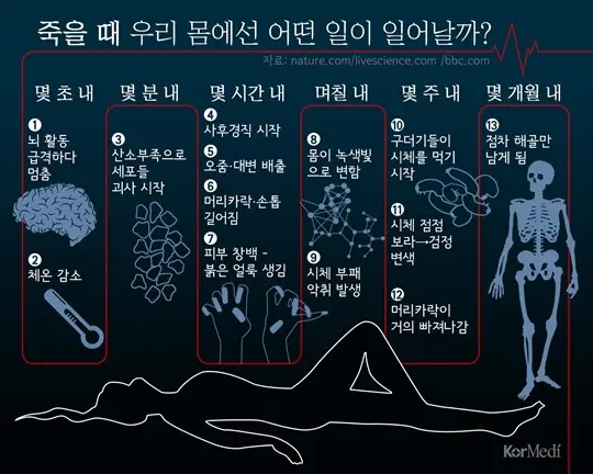 '생물학적 죽음'에 따른 몸의 변화 Here's What A Doctor Says Actually Happens When You Die