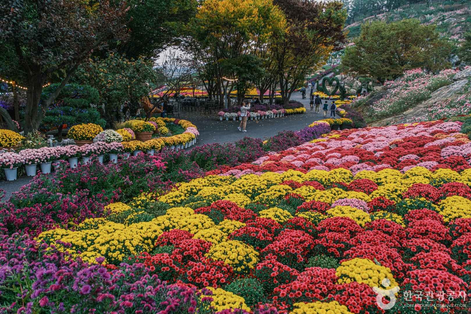 피나클랜드수목원