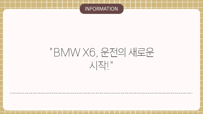 bmw x6 장기렌트