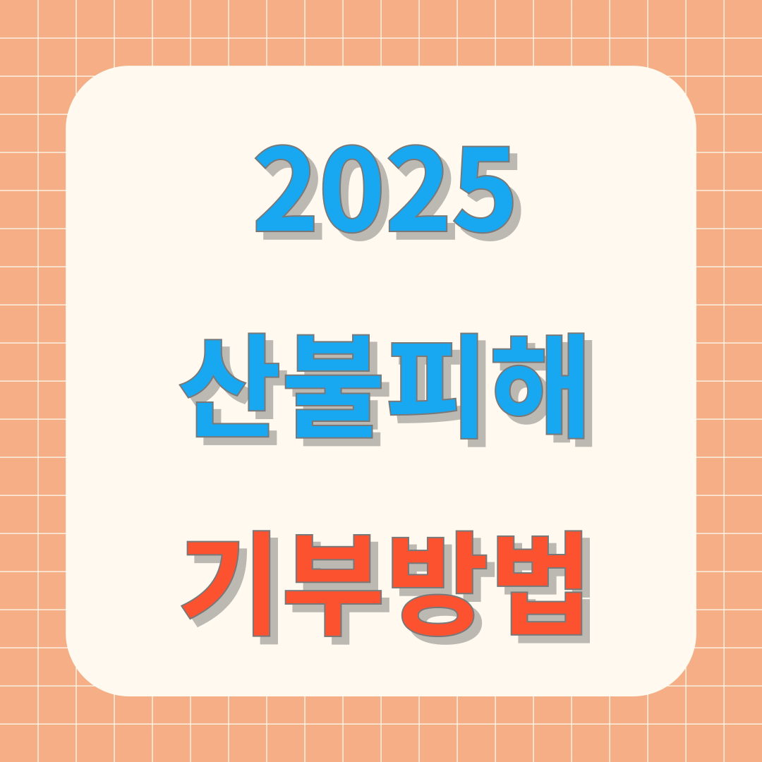 2025 산불 기부 방법 총정리